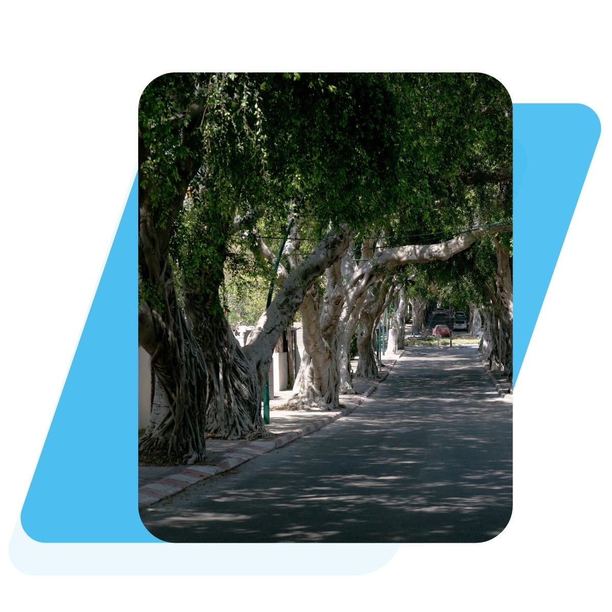 TODO_herzliya_neighbourhood_center_imageAlt