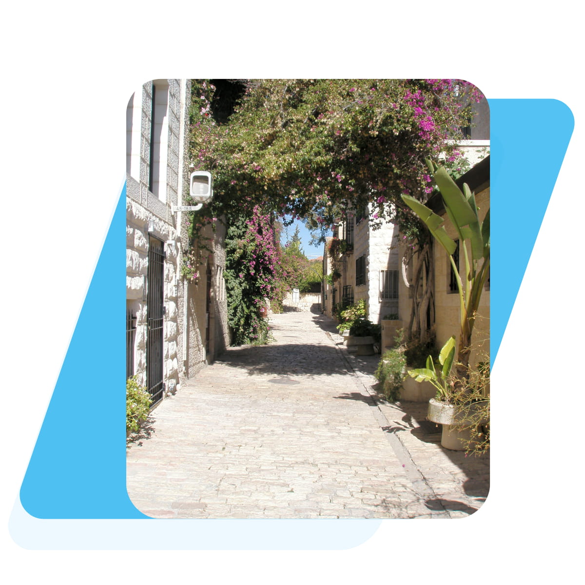 Narrow lane in the German Colony, Jerusalem, with stone houses and bougainvillea