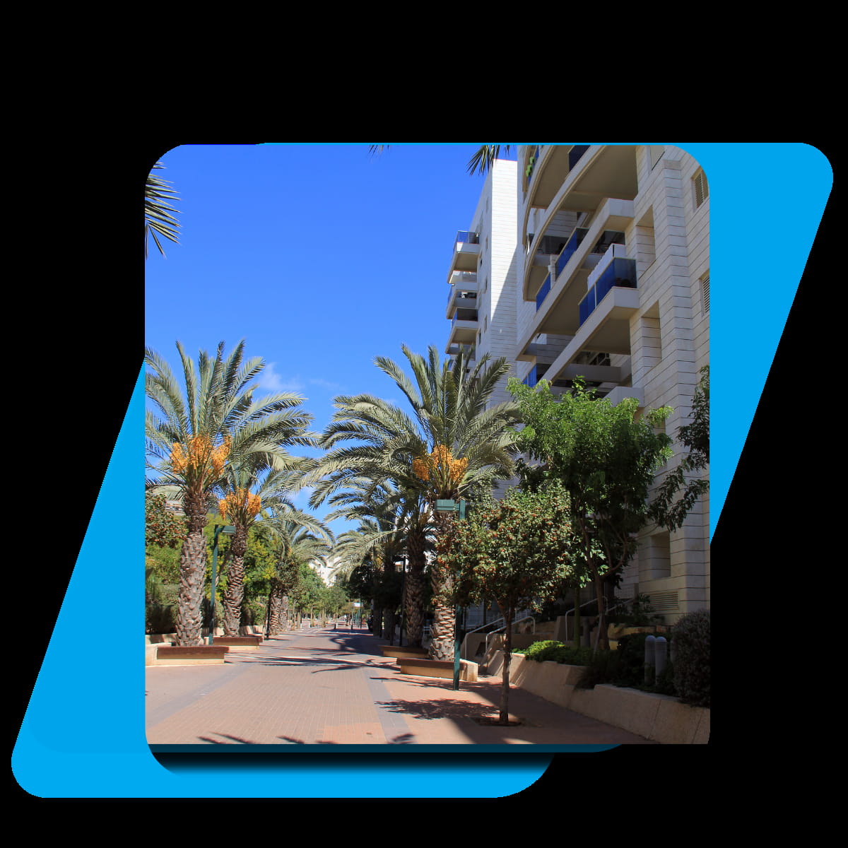 TODO_telaviv_neighbourhood_ramatAviv_imageAlt