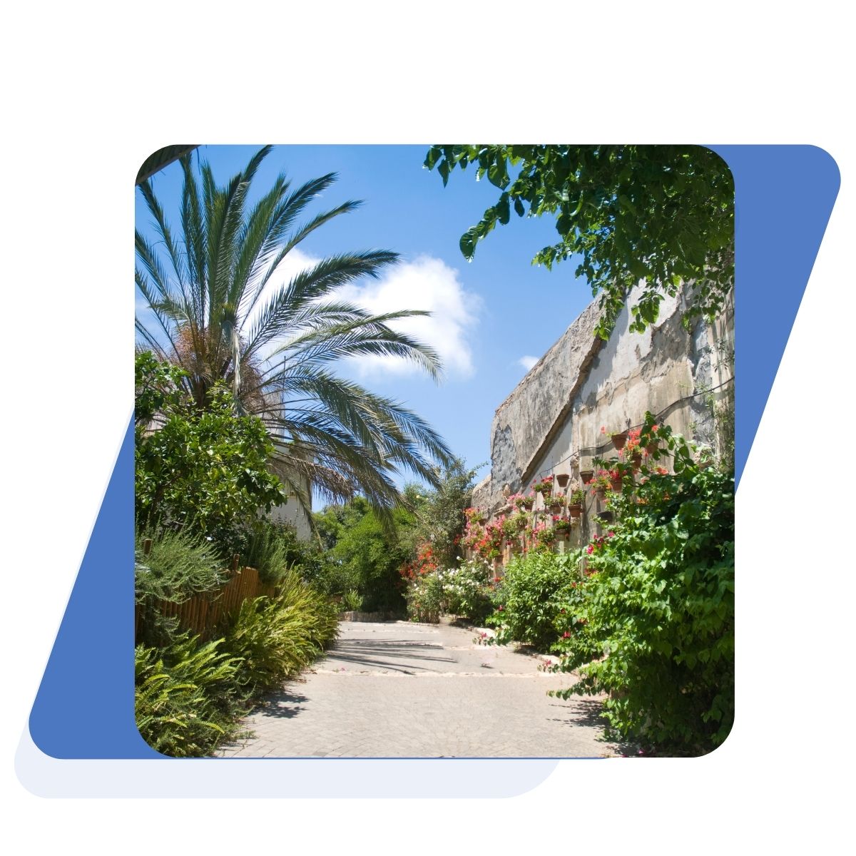 TODO_zichronyaakov_neighbourhood_moshava_imageAlt