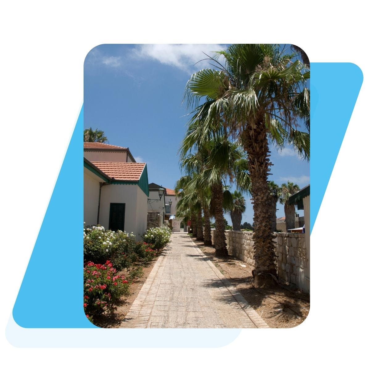 TODO_zichronyaakov_neighbourhood_neveRemez_imageAlt