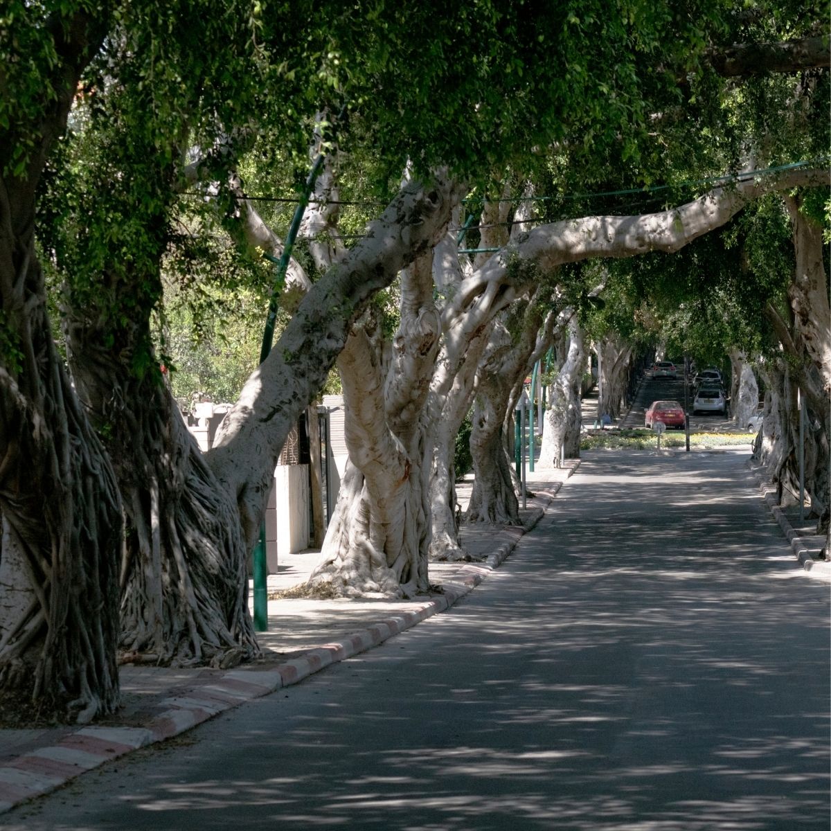 Larger lots, wide streets, and a calmer environment